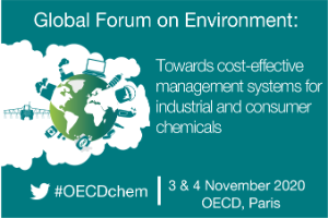 Global Forum on Environment: Towards cost-effective management systems for industrial and consumer chemicals  
